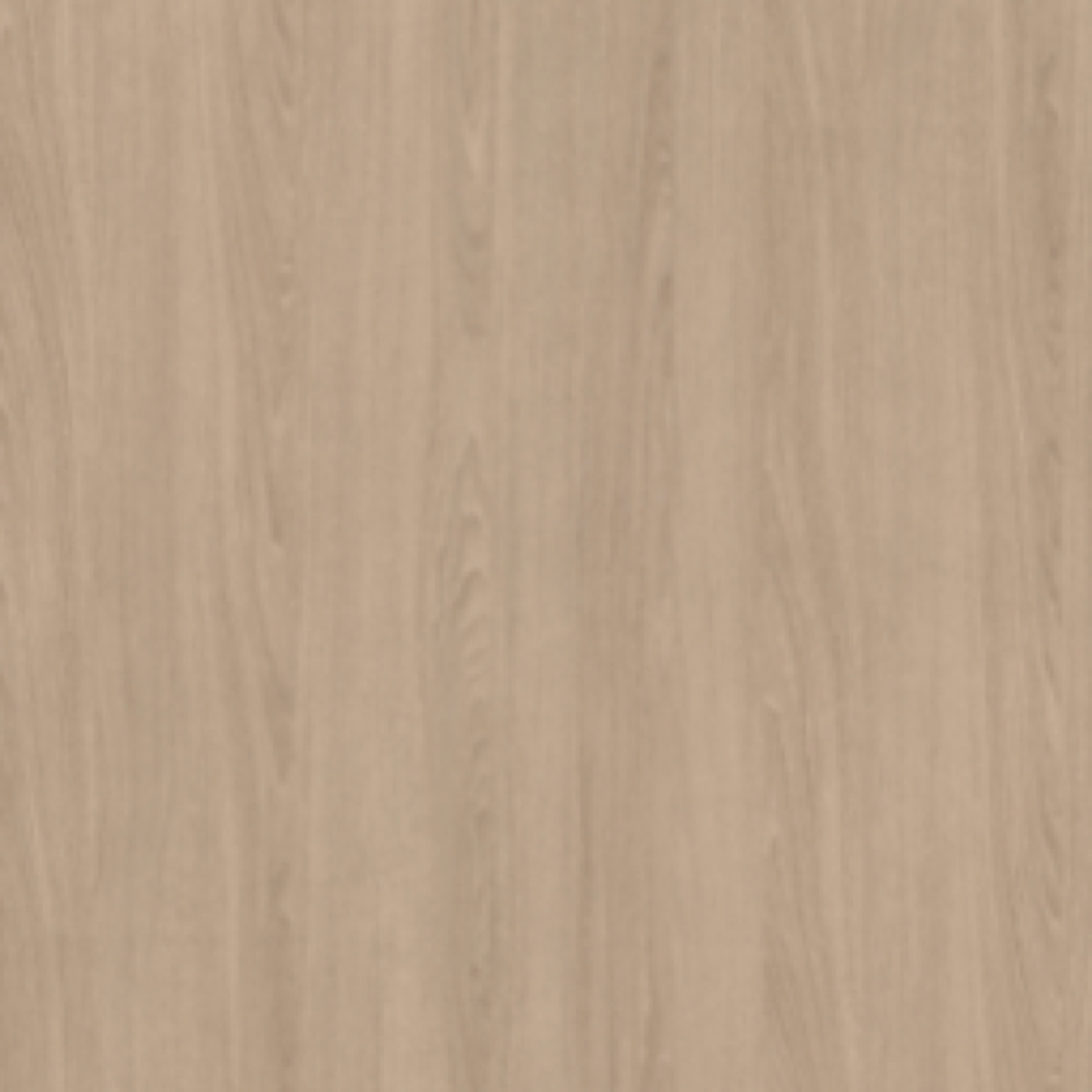 Sand Orleans Oak